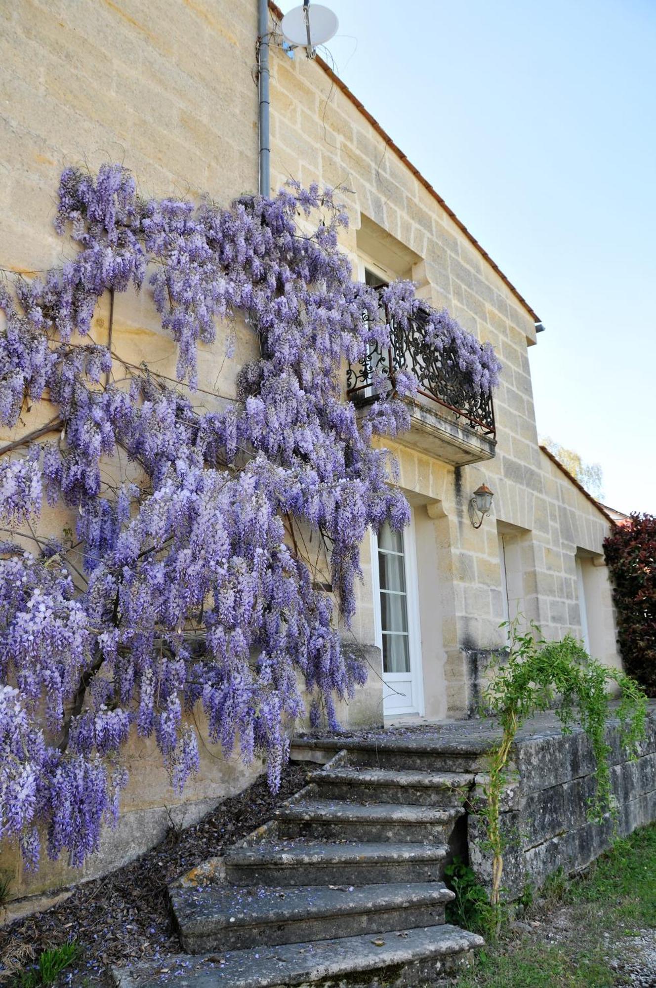 Buisson Gite Et Chambre D'Hote ラリュスカード エクステリア 写真